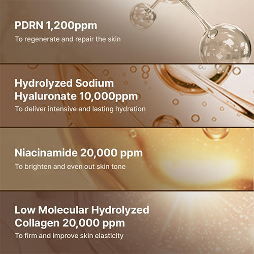 [REJUALL] ADVANCED PDRN REJUVENATING CREAM (20g)